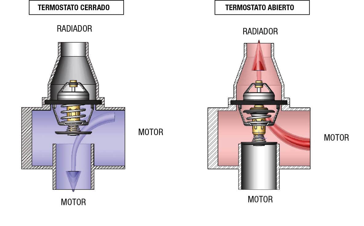 Funciones del termostato del motor